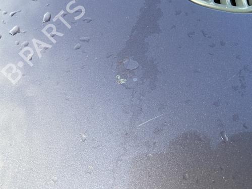 Motorhjelm RENAULT TWINGO I (C06_) 1.2 (C066, C068) | BP29969360C1