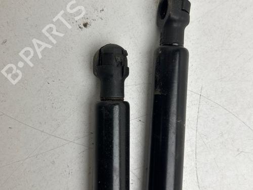 tailgate-lift-support-renault-clio-iii-br01-cr01-2005-2006-2007-2008-2009-2010-2011-2012-2013-2014-36033780 main image