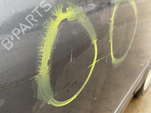 Porte avant droite FORD C-MAX (DM2) 1.6 TDCi | BP29999967C3 