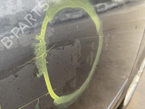 Porte avant droite FORD C-MAX (DM2) 1.6 TDCi | BP29999967C3 