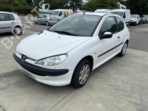 Left front door PEUGEOT 206 Hatchback (2A/C) 1.4 i | BP28303521C2 