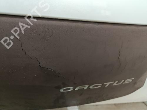 Tailgate CITROËN C4 CACTUS 1.6 HDi 90 | BP30326592C6 - Image 7