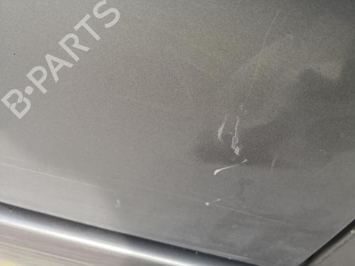 Left front door RENAULT MEGANE II (BM0/1_, CM0/1_) 1.9 dCi (BM0G, CM0G) | BP27130559C2 