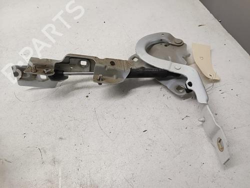 Used Hinge/Door check strap RENAULT ZOE (BFM_) ZOE (88 hp) 27125467