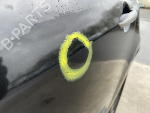 Left rear door RENAULT CLIO III (BR0/1, CR0/1) 1.5 dCi (BR17, CR17) | BP32111315C4