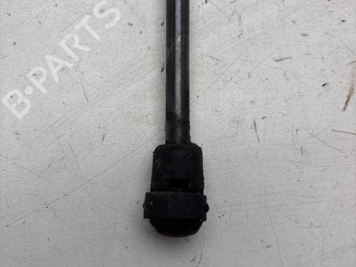 hood-lift-support-renault-megane-iii-hatchback-bz01_-b3_-2008-33315657 main image