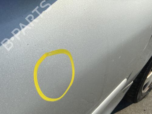 Right front door PEUGEOT 206 SW (2E/K) 2.0 HDi | BP29529625C3 