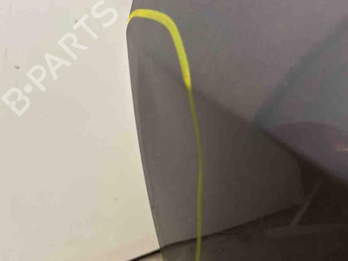 Used Tailgate Tailgate RENAULT CLIO III (BR0/1, CR0/1) 1.5 dCi (75 hp) 36653734 36653734