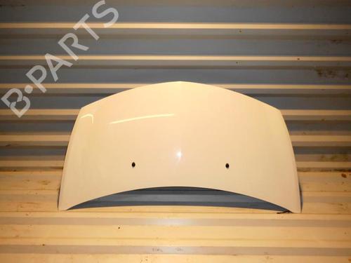 Used Hood RENAULT CLIO III (BR0/1, CR0/1) 1.5 dCi (C/BR0G, C/BR1G) (68 hp) 27116218