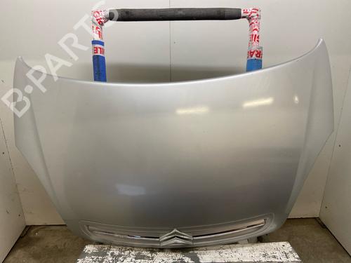 Panser Panser CITROËN XSARA PICASSO (N68) 2.0 HDi (90 hp) 30938996 30938996