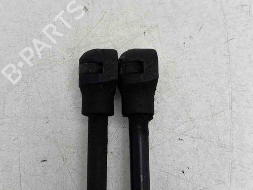 Used Hood lift support Hood lift support RENAULT KANGOO / GRAND KANGOO II (KW0/1_) 1.5 dCi 110 (KW06, KW12) (110 hp) 36572864 36572864