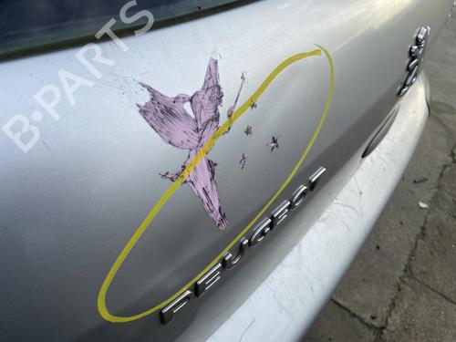 Tailgate PEUGEOT 307 (3A/C) 1.6 HDi 110 | BP30860654C6