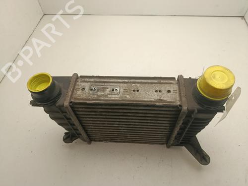 Used Intercooler Intercooler RENAULT CLIO III (BR0/1, CR0/1) 1.5 dCi (88 hp) 33828207 33828207