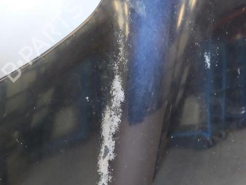 Hood HYUNDAI SANTA FÉ I (SM) 2.0 CRDi | BP27116169C1 