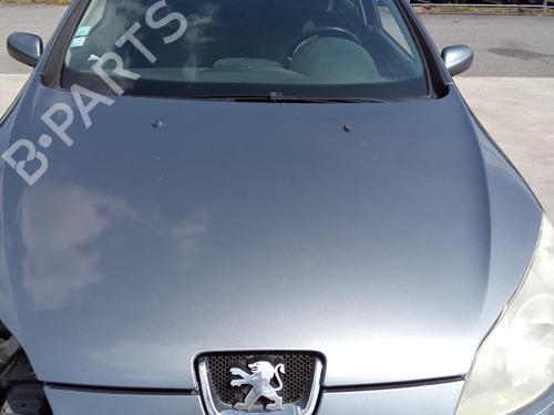 Used Hood PEUGEOT 407 (6D_) 1.6 HDi 110 (6D9HZC, 6D9HYC) (109 hp) 27138661