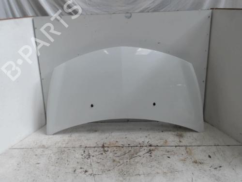 Used Hood RENAULT CLIO III (BR0/1, CR0/1) 1.5 dCi (C/BR0G, C/BR1G) (68 hp) 27118055