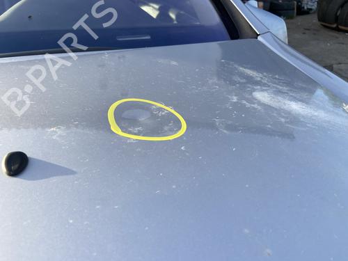 Used Hood Hood PEUGEOT 607 (9D, 9U) 2.7 HDi 24V (204 hp) 30113954 30113954