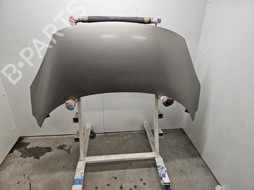 Used Hood RENAULT SCÉNIC III (JZ0/1_) 1.5 dCi (110 hp) 27127241