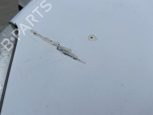 Used Hood Hood CITROËN BERLINGO Box Body/MPV (B9) 1.6 BlueHDi 100 (99 hp) 31908302 31908302
