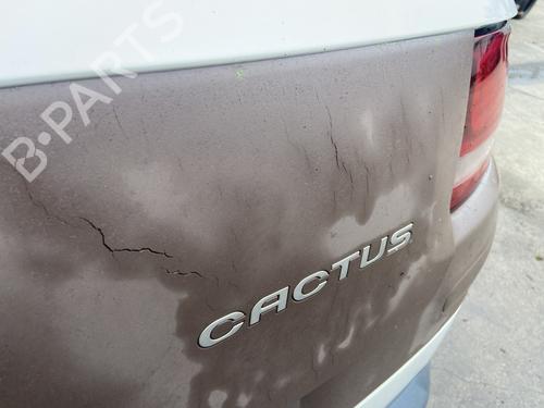 Used Tailgate Tailgate CITROËN C4 CACTUS 1.6 HDi 90 (92 hp) 30326592 30326592