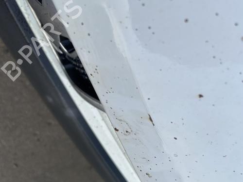 Hood PEUGEOT PARTNER MPV (5_, G_) 1.6 HDi 90 | BP29065470C1 