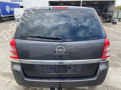 Lampeholder OPEL ZAFIRA / ZAFIRA FAMILY B (A05) 1.7 CDTI (M75) (110 hp) 30395111