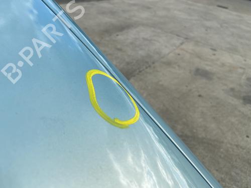 Hood CITROËN XSARA PICASSO (N68) 1.6 HDi | BP29114288C1 