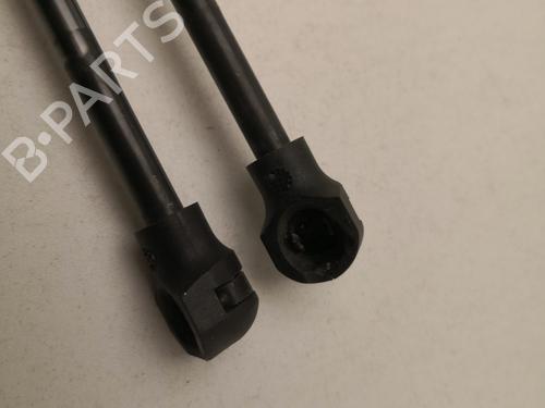 Tailgate lift support DACIA SANDERO II 1.5 dCi | BP27143900C138 