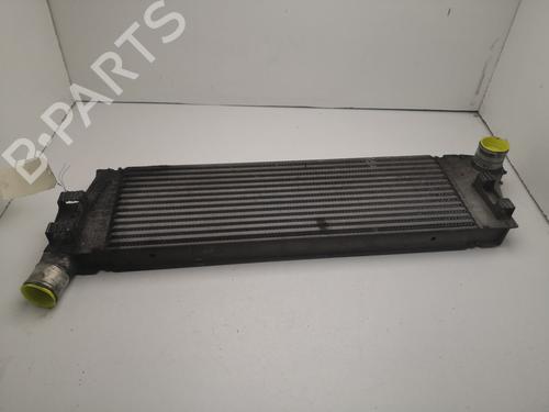 Intercooler RENAULT GRAND SCÉNIC II (JM0/1_) 1.5 dCi (JM02, JM13) (101 hp) 27102347