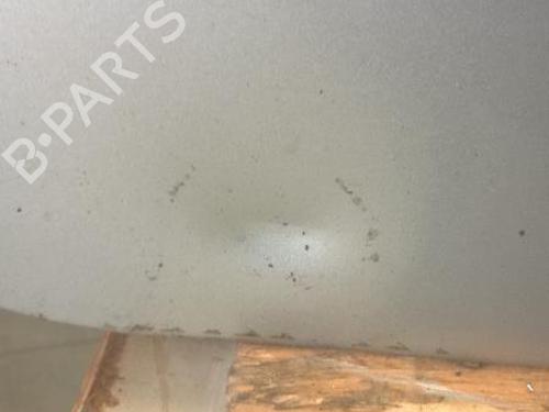 Left rear door FORD TRANSIT Van (FA_ _) 2.2 TDCi | BP27117317C4 