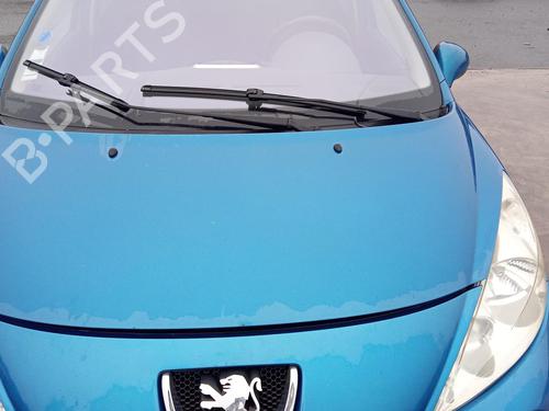Used Hood PEUGEOT 207 (WA_, WC_) 1.6 HDi (90 hp) 27145527