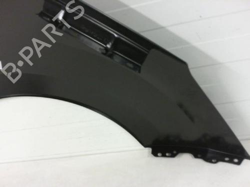 Left front fenders CITROËN C3 II (SC_) 1.6 BlueHDi 100 | BP27099839C41 