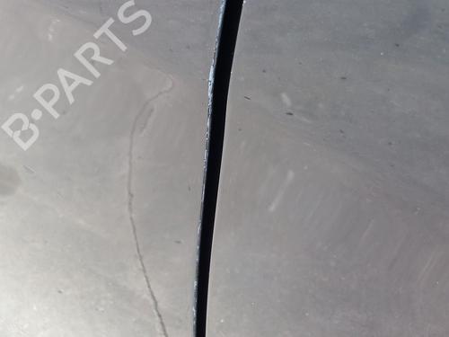 Left front door SEAT LEON (1P1) 1.9 TDI | BP27103456C2 