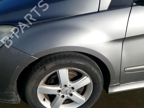 Used Left front fenders MERCEDES-BENZ B-CLASS Sports Tourer (W245) B 200 CDI (245.208) (140 hp) 27129443