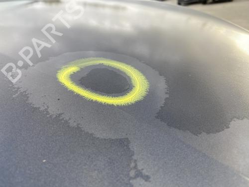 Hood RENAULT MEGANE III Hatchback (BZ0/1_, B3_) 1.5 dCi (BZ09, BZ0D, BZ1W, BZ29, BZ14) | BP29898969C1