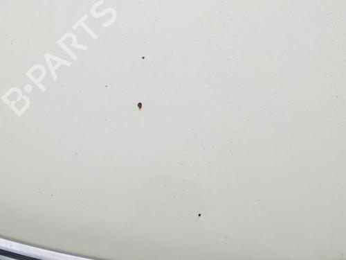 Hood CHRYSLER PT CRUISER (PT_) 2.2 CRD | BP27143124C1 