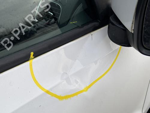 Right front door VW POLO V (6R1, 6C1) 1.4 TDI | BP32293588C3