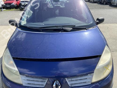 Used Hood RENAULT SCÉNIC II (JM0/1_) 1.5 dCi (JM02, JM13) (101 hp) 28522301