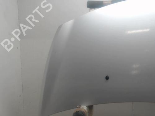 Hood RENAULT CLIO III (BR0/1, CR0/1) 1.5 dCi (BR17, CR17) | BP27131101C1