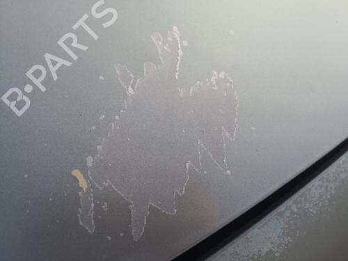 Hood RENAULT MEGANE II (BM0/1_, CM0/1_) 1.9 dCi (BM0G, CM0G) | BP27130553C1 