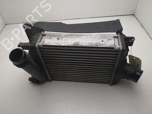Intercooler DACIA DUSTER (HM_) 1.0 LPG (HMMT) | BP27106604M30 - Image 3