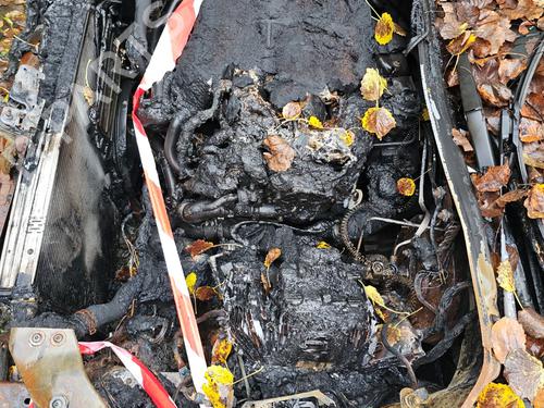 - Image 5