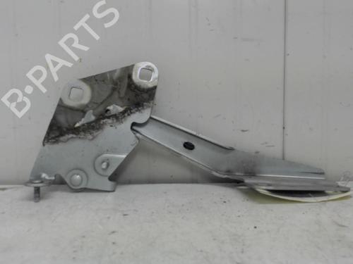 Used Hinge/Door check strap RENAULT MEGANE III Hatchback (BZ0/1_, B3_) 1.5 dCi (BZ0C) (90 hp) 27117584