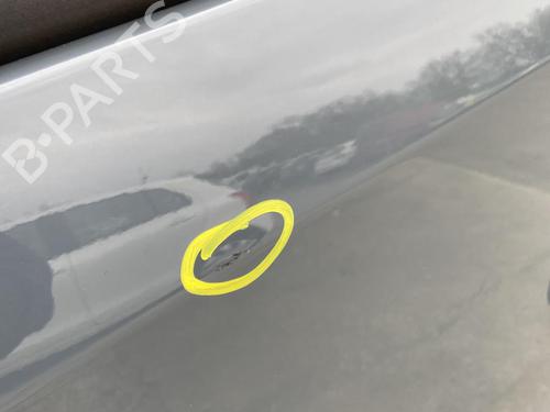 Used Left front door Left front door NISSAN PRIMASTAR Van (X82) 2.0 dCi 130 (131 hp) 27105410 27105410
