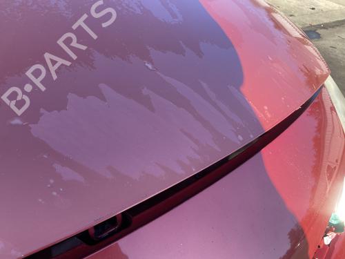 Hood RENAULT SCÉNIC II (JM0/1_) 1.5 dCi (JM1E, JM16) | BP29610330C1 