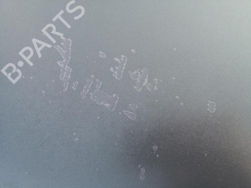 Used Hood RENAULT MEGANE II (BM0/1_, CM0/1_) 1.9 dCi (BM0G, CM0G) (120 hp) 27130553