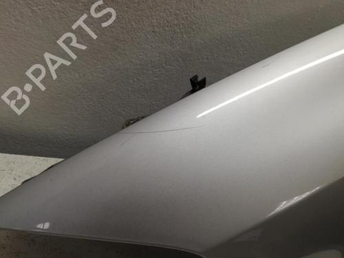 Left front fenders RENAULT LAGUNA II (BG0/1_) 1.9 dCi (BG1A, BG1W, BG0G) | BP27080417C41 