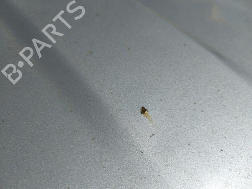 Hood DODGE CALIBER 2.0 CRD | BP36679882C1 - Image 3