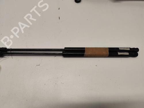 tailgate-lift-support-peugeot-307-break-3e-2002-2003-2004-2005-2006-2007-2008-2009-40054409 main image
