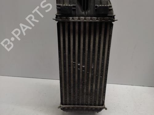 Intercooler CITROËN C3 III Van (SX_, SY_) BlueHDi 100 | BP31168812M30 - Image 3